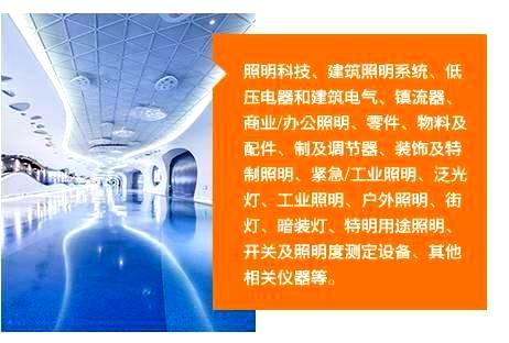 照明科技、建筑照明系统、低压电器和建筑电气、镇流器、商业/办公照明、零件、物料及配件、制及调节器、装饰及特制照明、紧急/工业照明、泛光灯、工业照明、户外照明、街灯、暗装灯、特明用途照明、开关及照明度测定设备、其他相关仪器等。